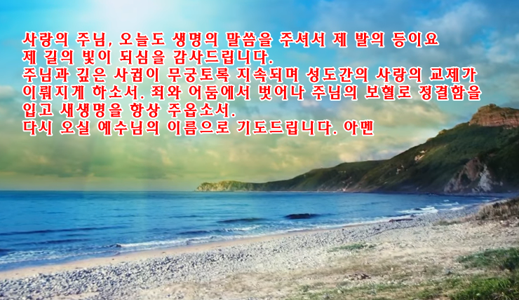 주석 2019-10-11 204702.png