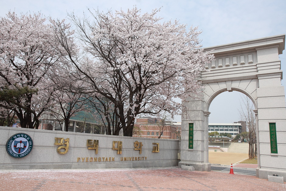 평팩대학교.jpg