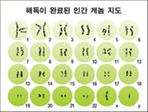 게놈지도.png