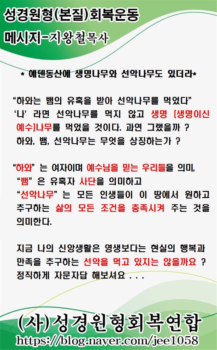 KakaoTalk_20210221_212350043.jpg