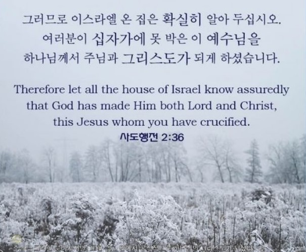 화면 캡처 2022-06-27 143655.jpg