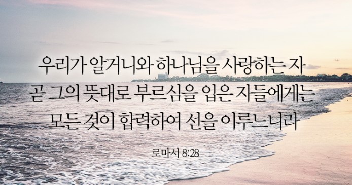 화면 캡처 2022-08-16 222420.jpg