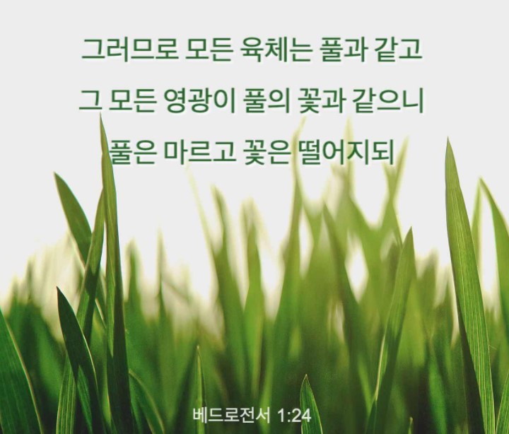 주석 2021-01-28 022228.jpg