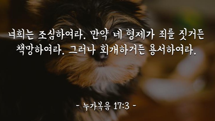 화면 캡처 2022-02-08 033135.jpg