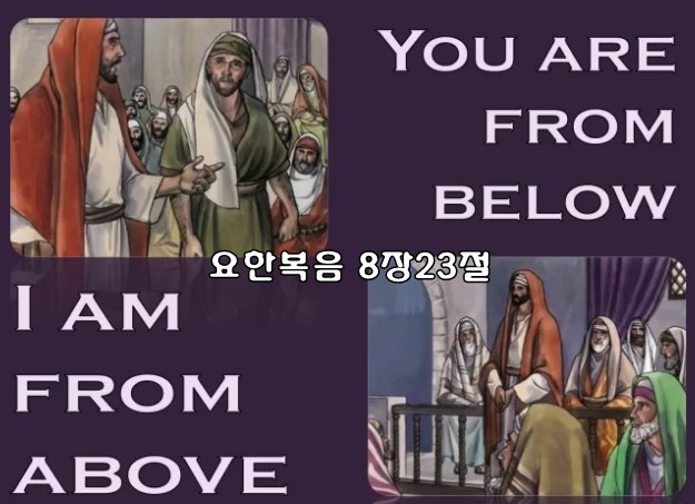 화면 캡처 2023-04-17 004850.jpg