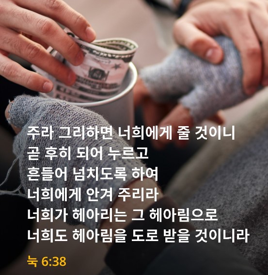 화면 캡처 2023-05-29 112255.jpg