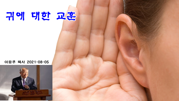 99066233598D664520.png