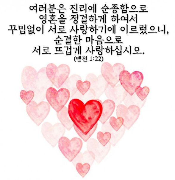 20230619_100705.png