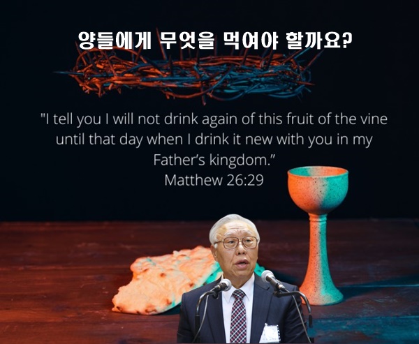 화면 캡처 2023-01-30 152543.jpg