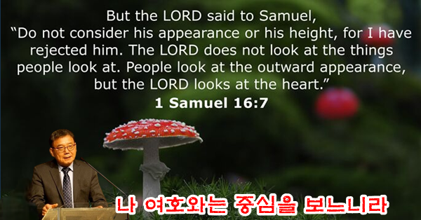KakaoTalk_20240527_170314607.png