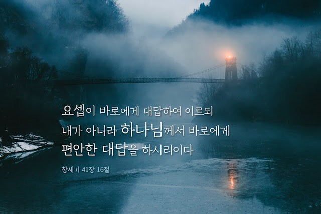 창세기 41장.jpg