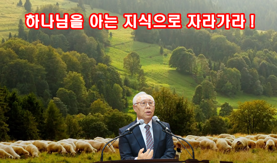 KakaoTalk_20240112_205828986_03.png