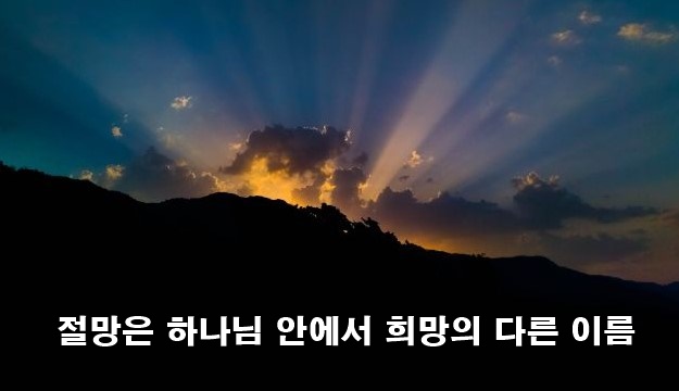 화면 캡처 2023-07-10 124602.jpg