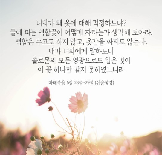 화면 캡처 2022-01-26 065324.jpg