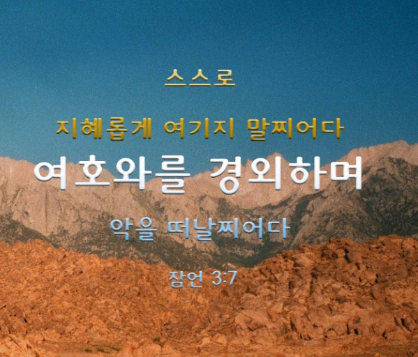 화면 캡처 2023-03-13 203708.jpg