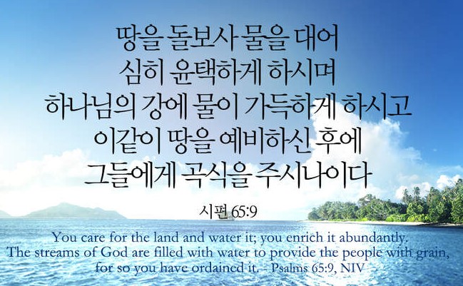 화면 캡처 2023-03-20 160441.jpg