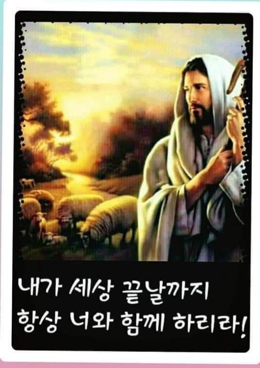 KakaoTalk_20220131_215951746.jpg